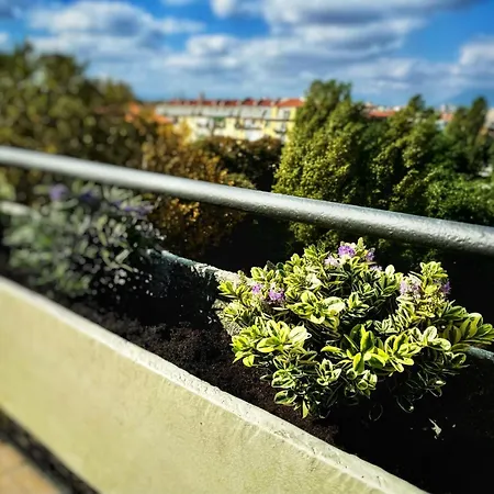 Gianduja - Attico Con Terrazzo *