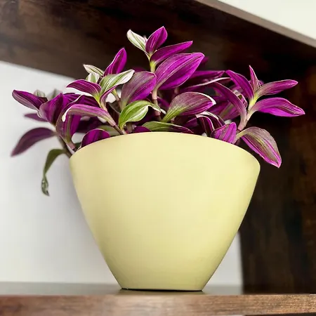 Διαμέρισμα Gianduja - Attico Con Terrazzo