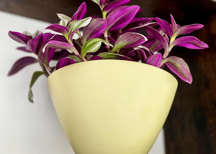 Apartamento Gianduja - Attico Con Terrazzo